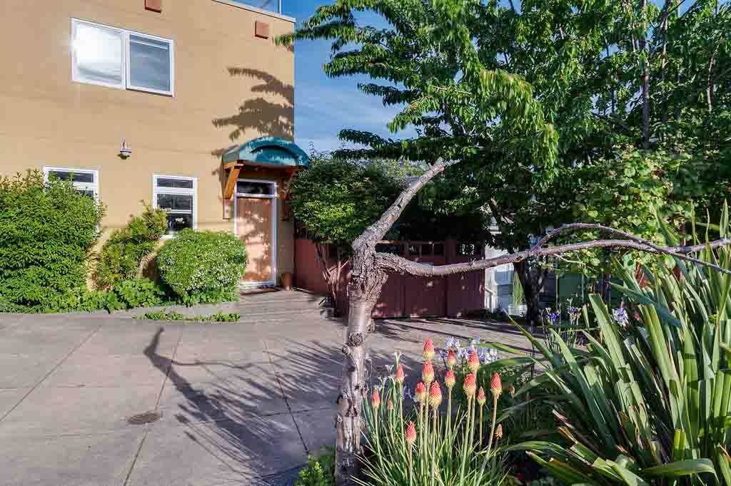 513 Head St 41