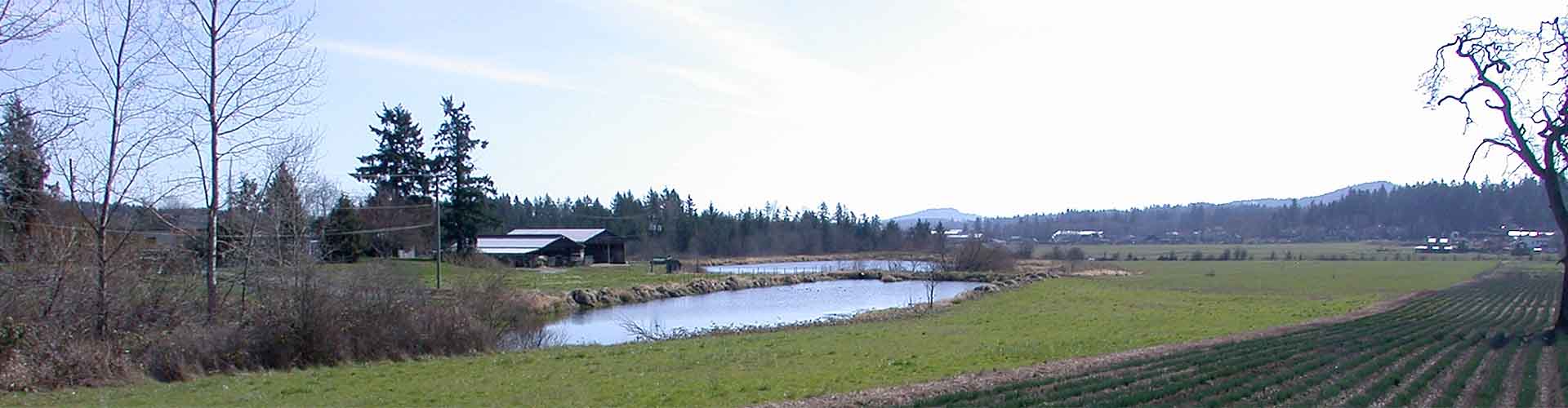 Saanichton & Central Saanich Banner Image