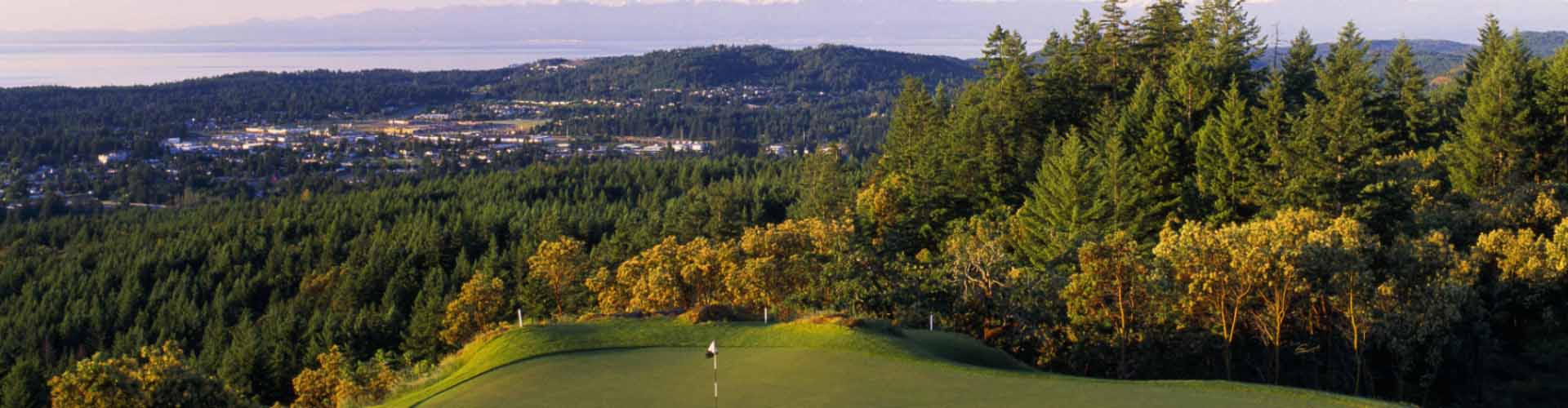 Langford Banner Image