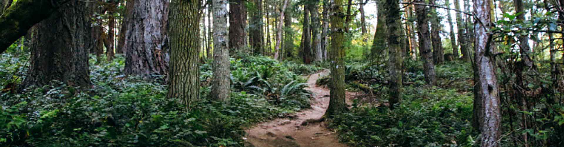 Mount Doug Banner Image