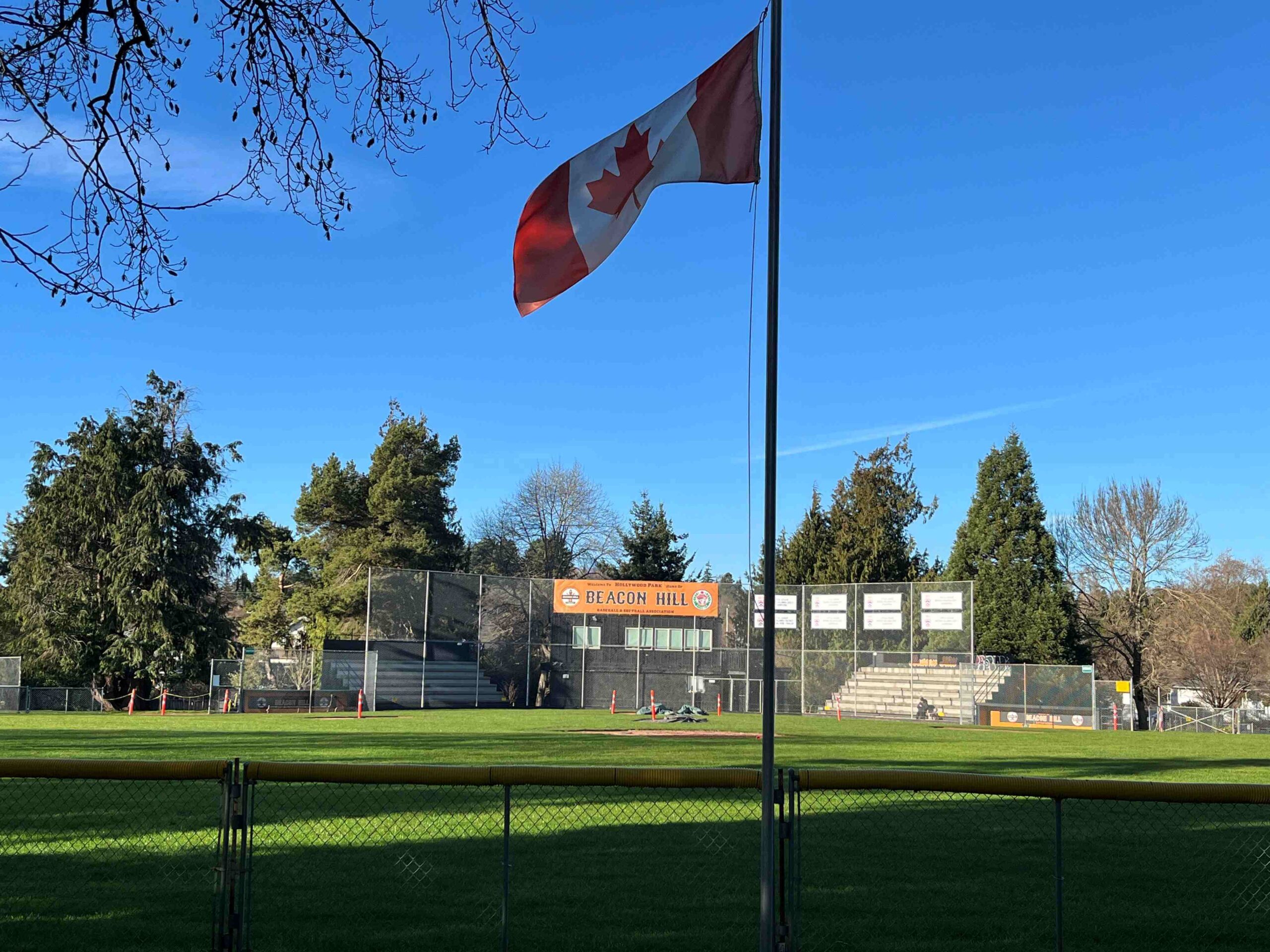 Hollywood Park Baseball