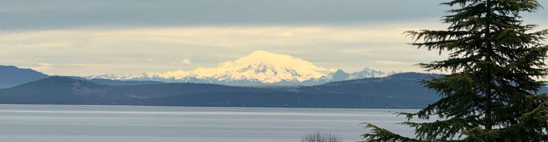 204-5350 Sayward Hill Crescent Banner Image