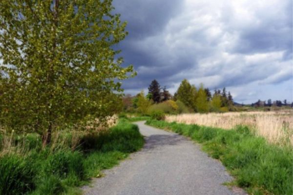 Colquitz Creek Trail