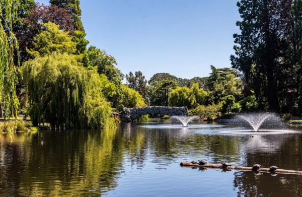 Beacon Hill Park