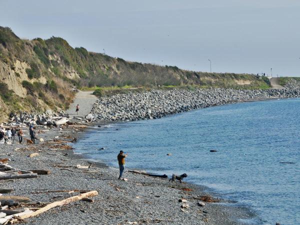 walk to the Dallas-Road-waterfront 