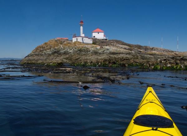 Paddle Oak Bay